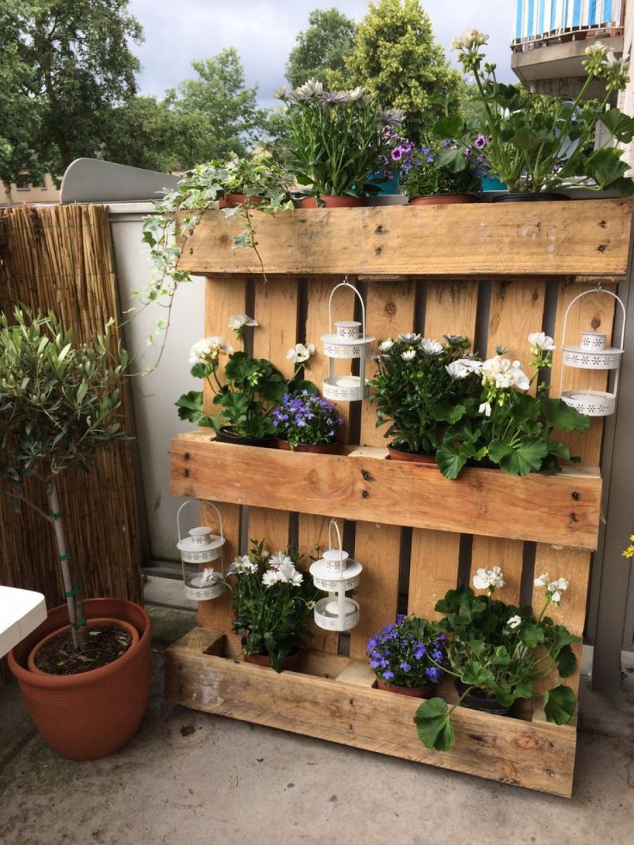 Mind Blowing Pallet Gardens You Need to Check