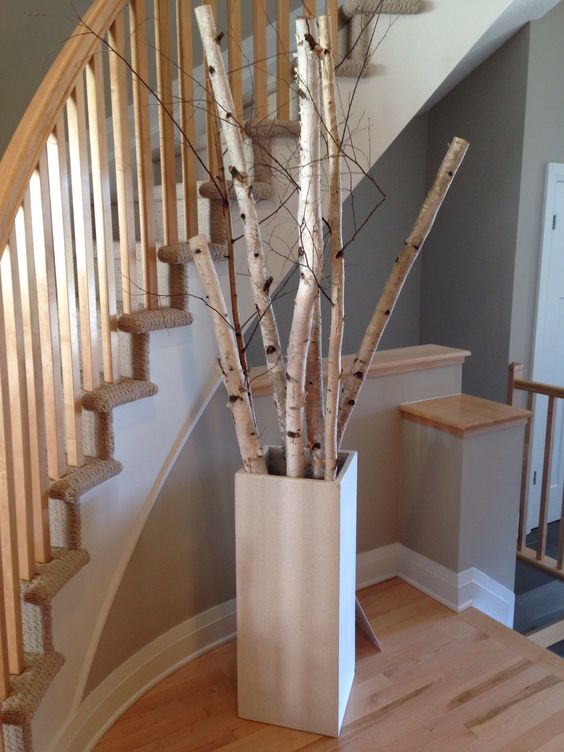 Birch Tree Decors That Will Freshen Up Yous Space