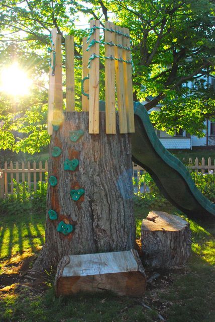 How Have Fun With Garden Tree Stumps Awesome Ways Page