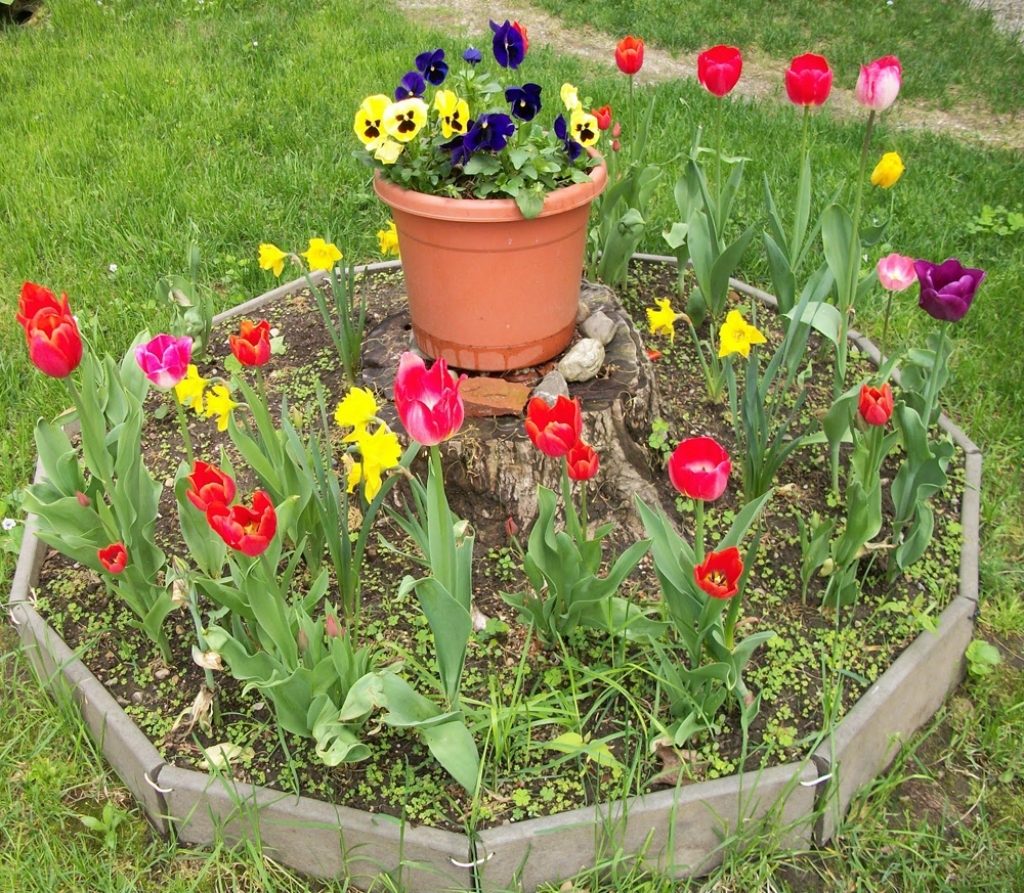 HOW TO MAKE ROUND FLOWER BEDS THAT WILL BEAUTIFY YOUR YARD