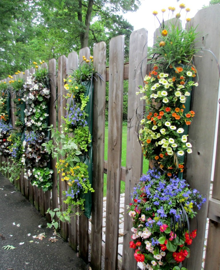 How To Decorate Your Garden Fence With Some Beautiful 