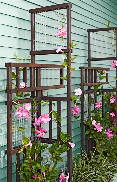 Climbing Plant Trellis That Will Give Your Garden A Satisfying Look