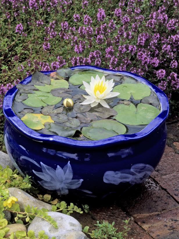 Amazing Ideas Of How To Make Mini Ponds In Pots - Page 2 of 2
