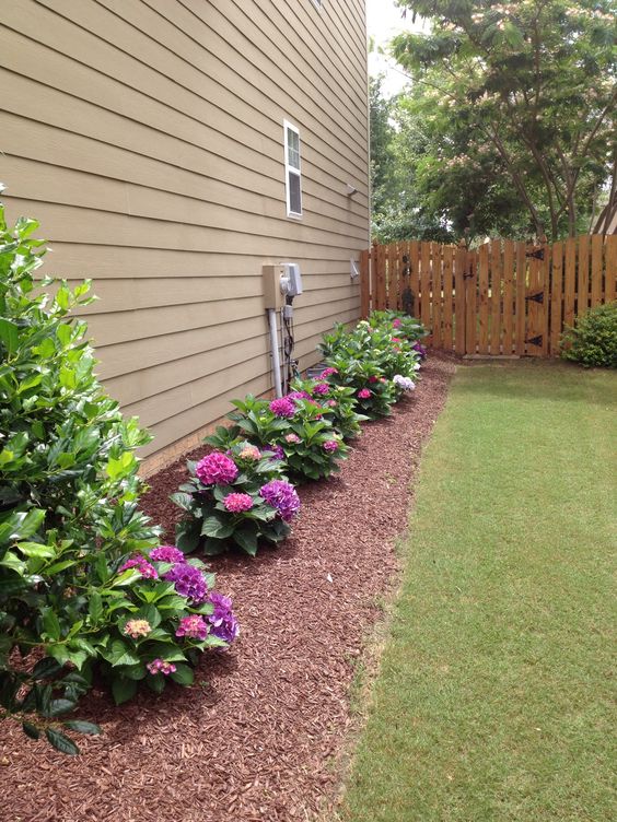 captivating hydrangea flower beds that will beautify your