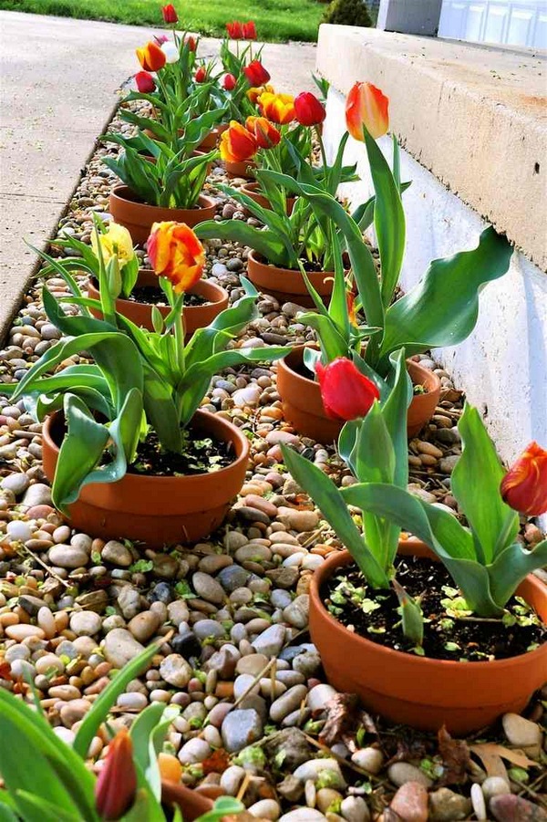 how to decorate flowerbeds with pebbles and rocks