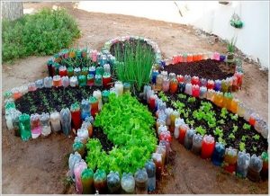 Over 20 Genius DIY Plastic Bottle Gardens You Need To See - Page 2 Of 2