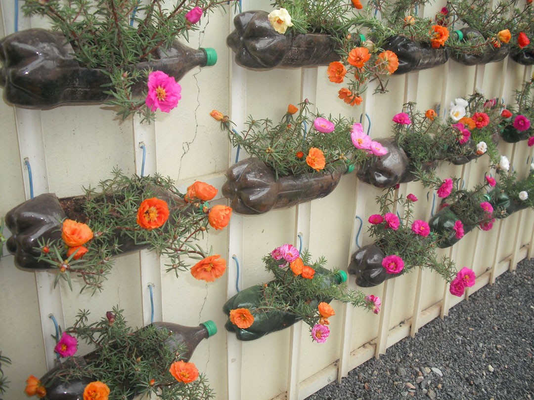 Over Genius Diy Plastic Bottle Gardens You Need To See Page Of