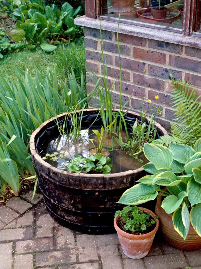 Amazing Ideas Of How To Make Mini Ponds In Pots - Page 2 of 2