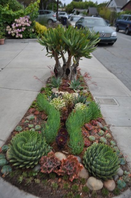 amazing succulent garden ideas you shouldn't miss - page 2