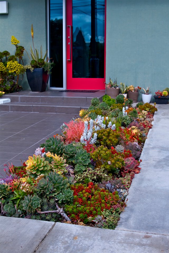 Amazing Succulent Garden Ideas You Shouldn&#039;t Miss