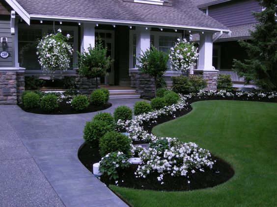 Stunning Black Mulch Landscaping Ideas You Must See