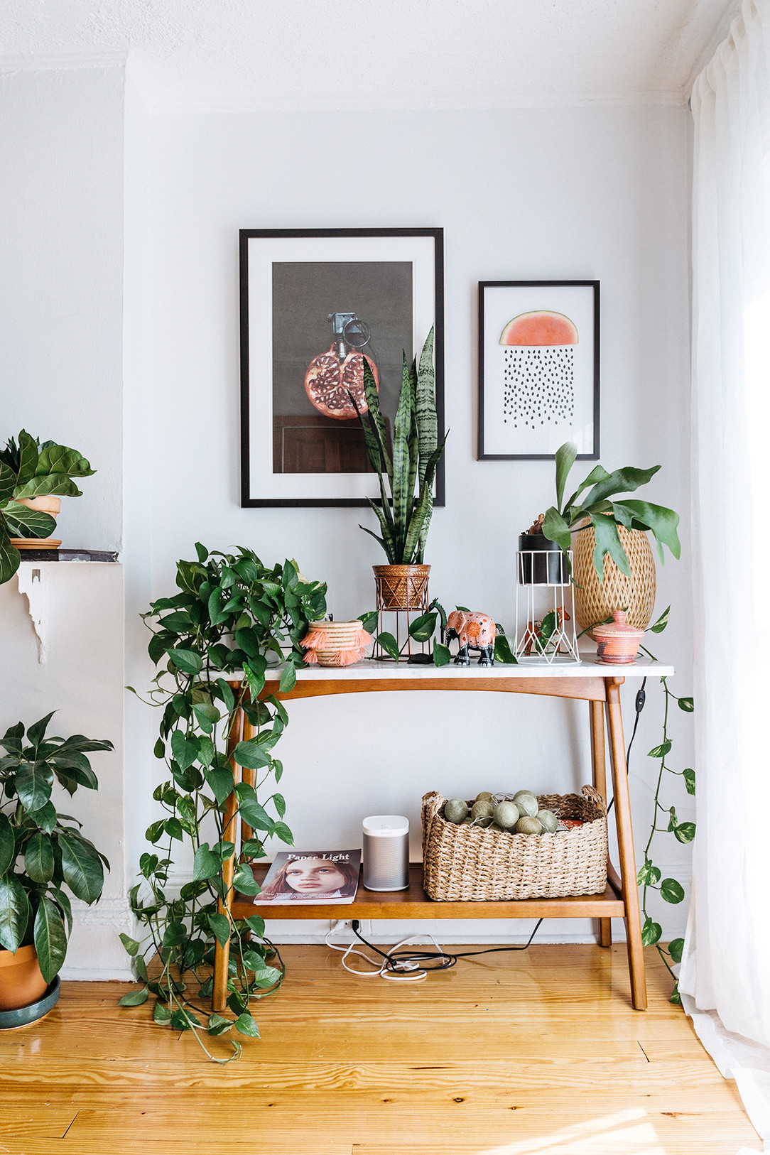 Bring Climbing Vines Indoor And Make Your Home Look Like A Green Jungle