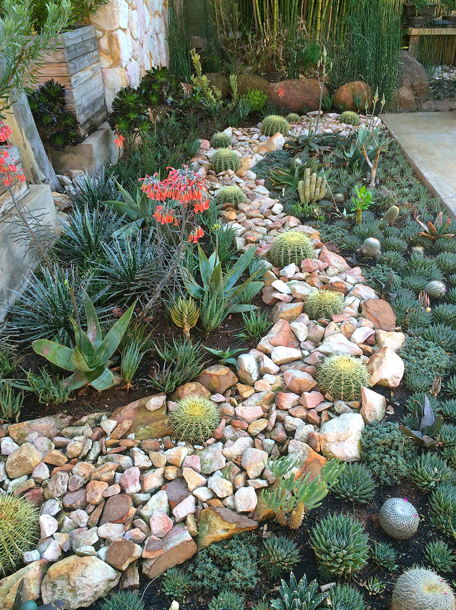 15 Delightful Succulent Gardens That Will Inspire You