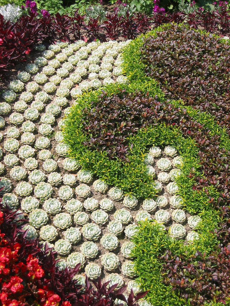 15 Delightful Succulent Gardens That Will Inspire You - Page 2 of 2