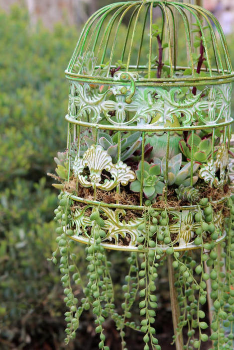 Bird Cage Planters Are Fun And Eye-catching Decor For Your Garden