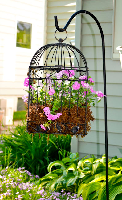 Bird Cage Planters Are Fun And Eye-catching Decor For Your Garden