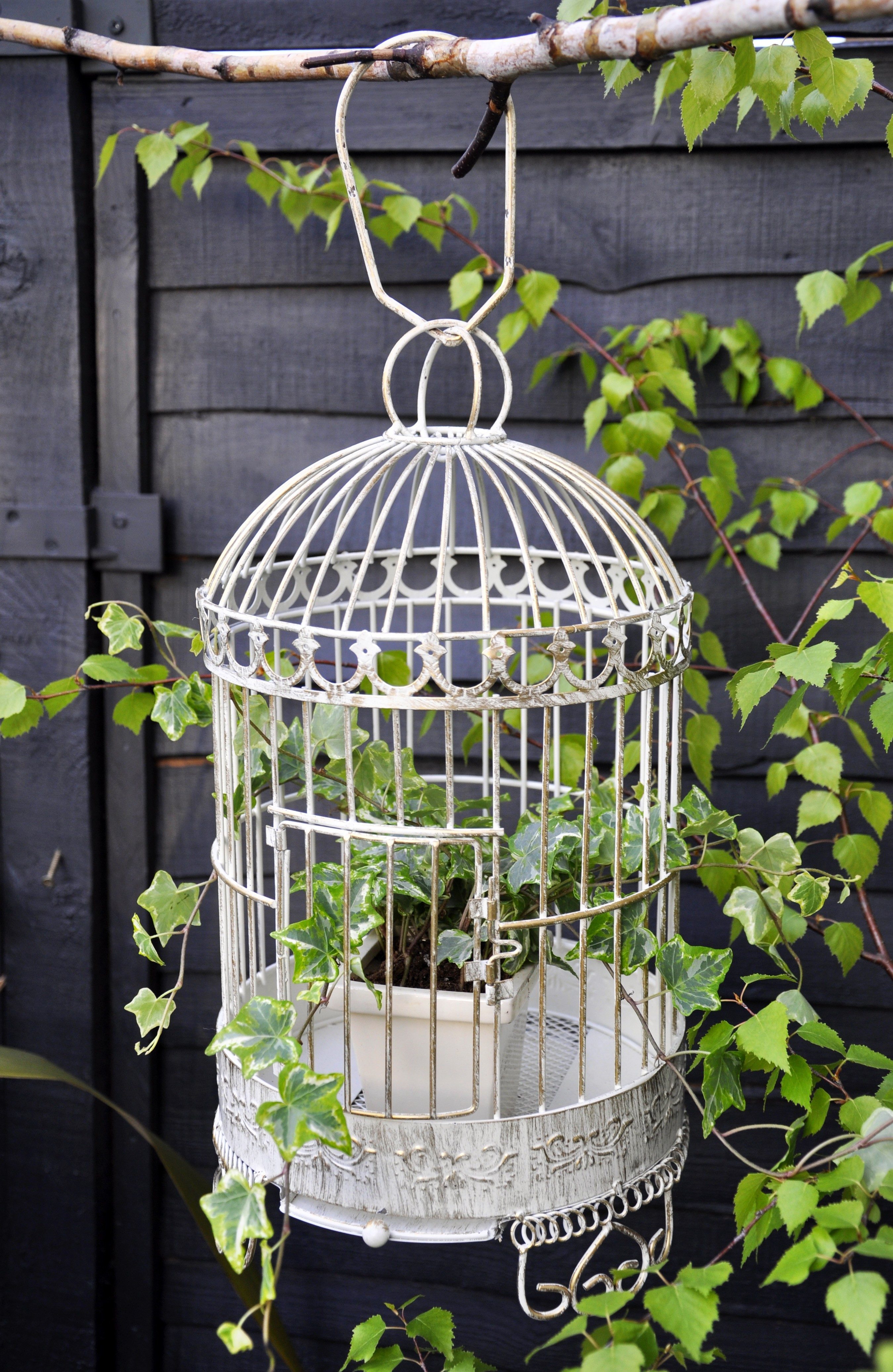 cage bird garden planters catching eye decor fun