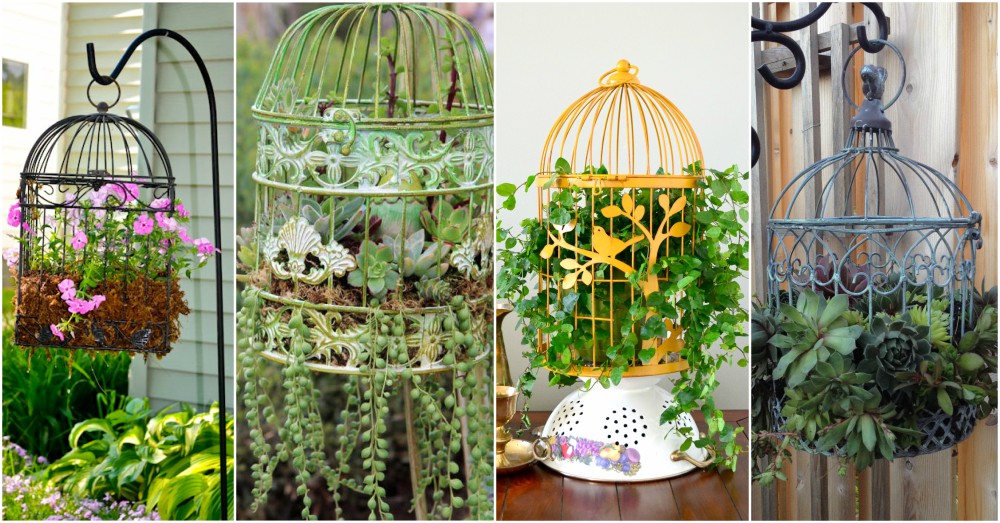 Bird Cage Planters Are Fun And Eyecatching Decor For Your