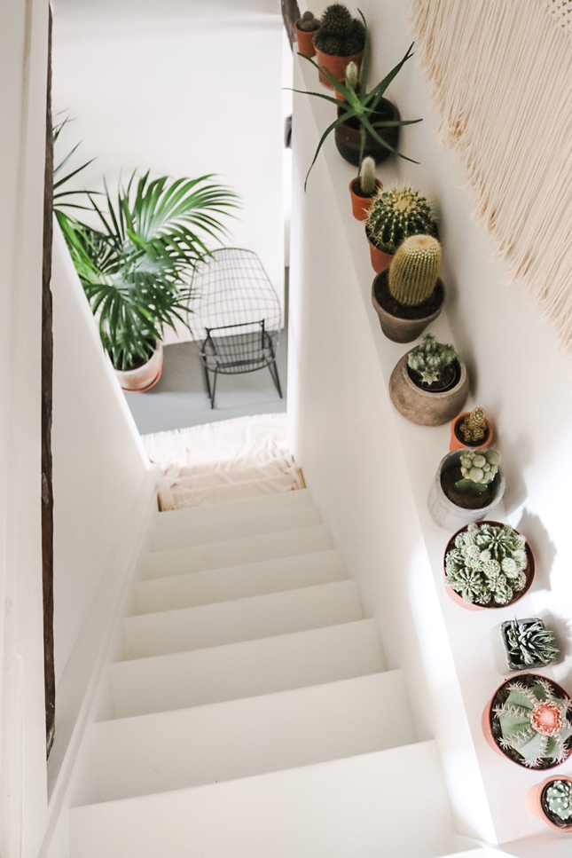 Indoor Cactus Garden Ideas To Display Your Collection In A Fantastic Way