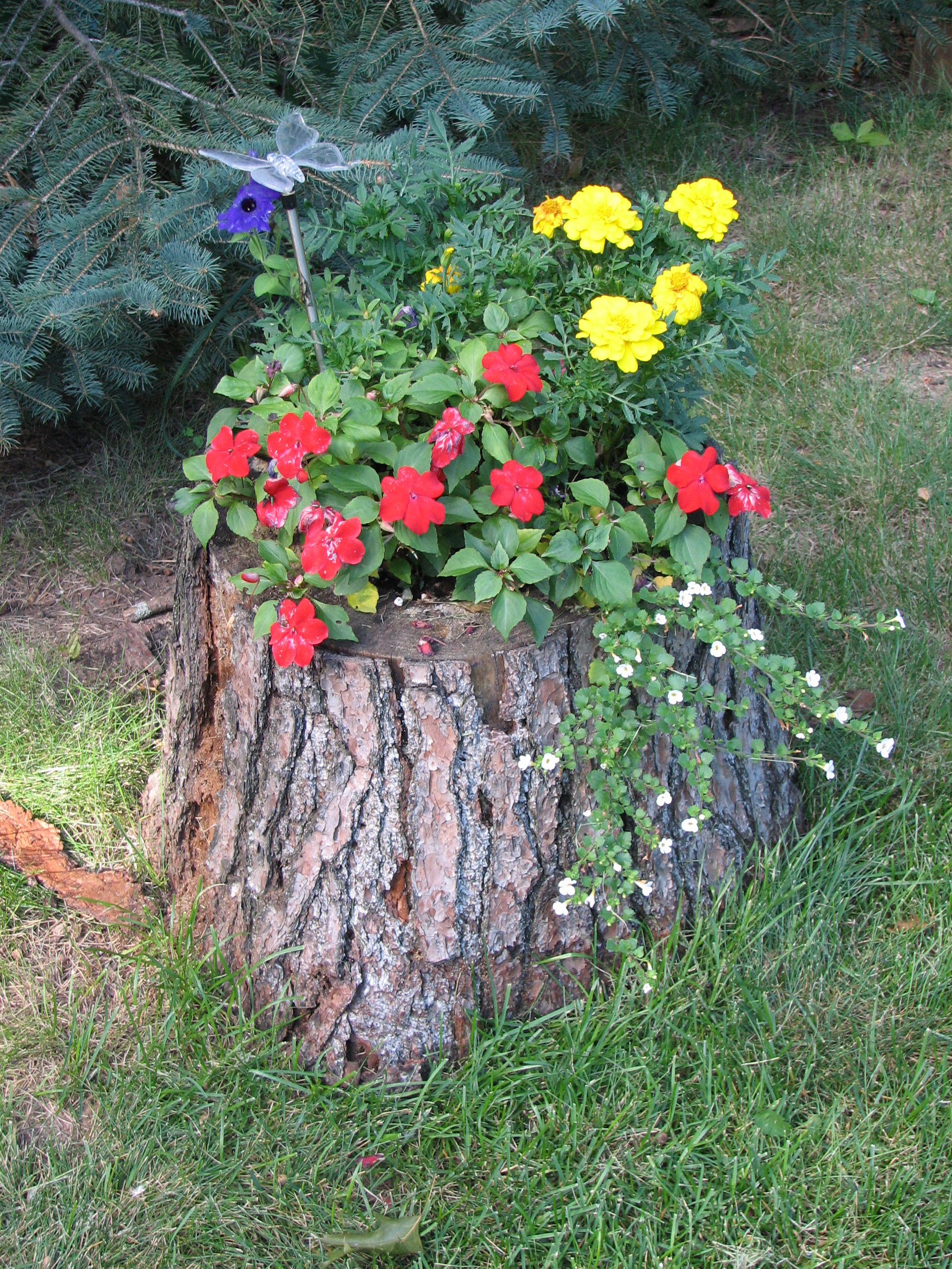 Tree Trunk Ideas That Make Excellent Decor For Your Garden
