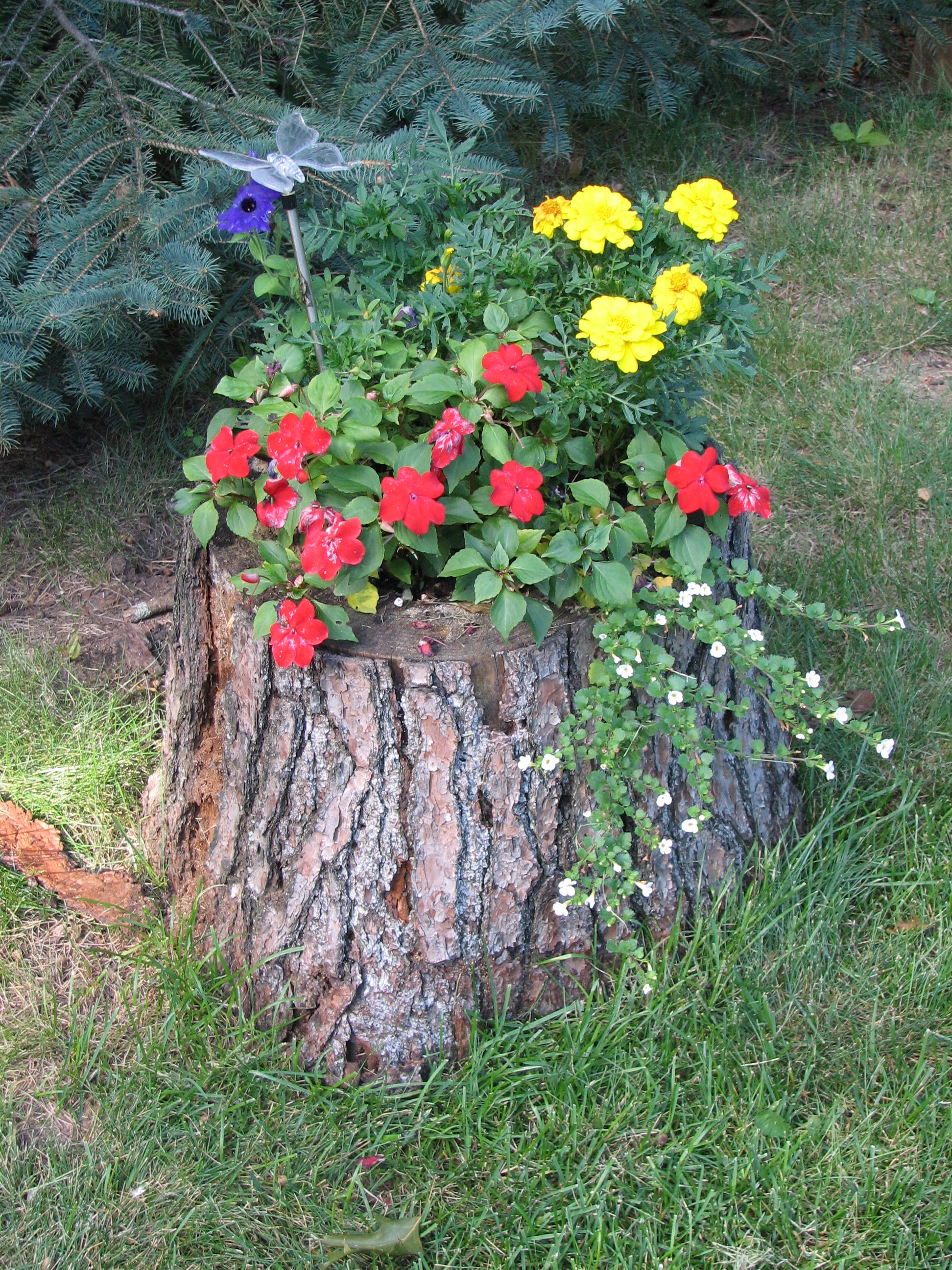 tree-trunk-ideas-that-make-excellent-decor-for-your-garden