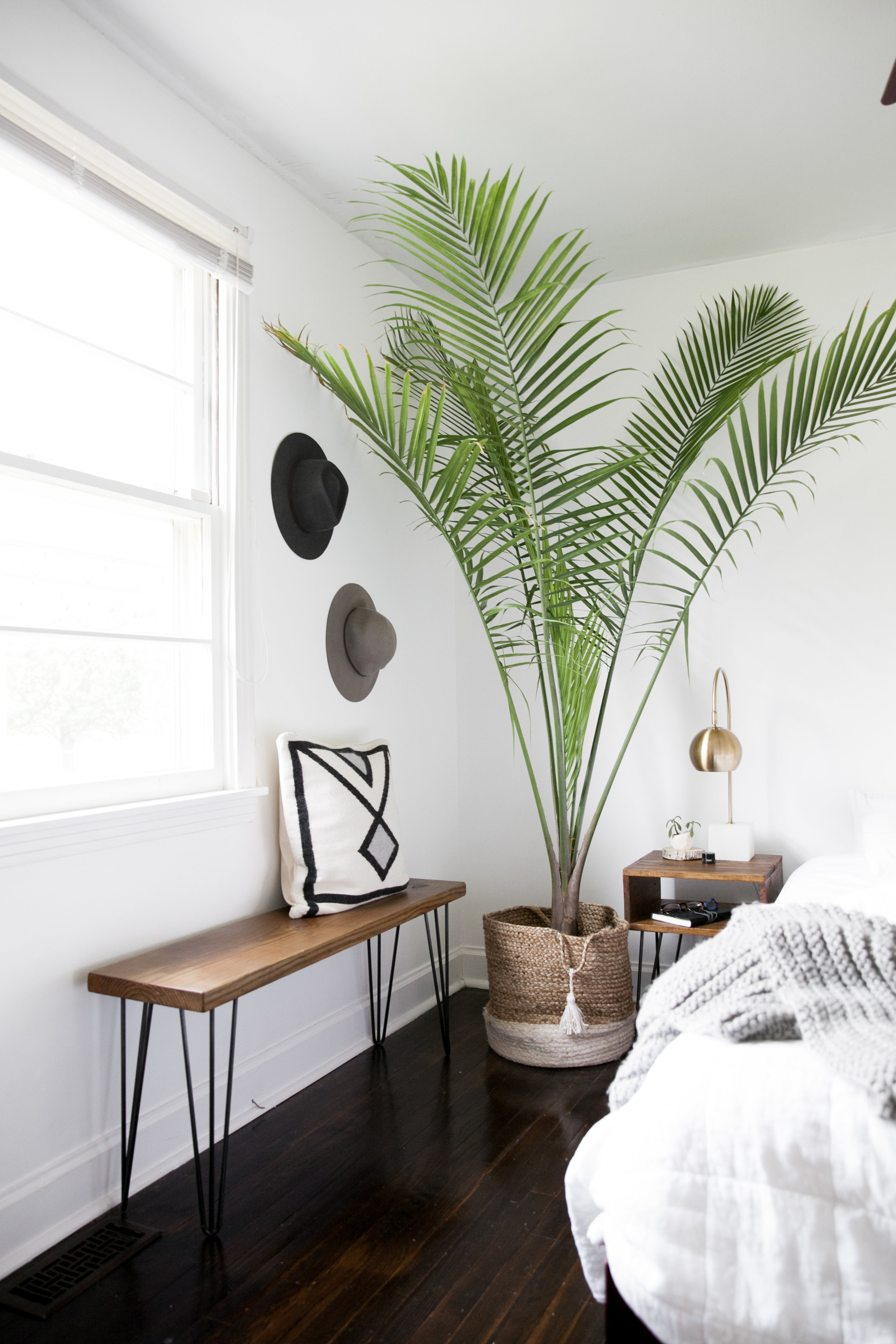 15 Fascinating Bedrooms With Plants That Look Like A