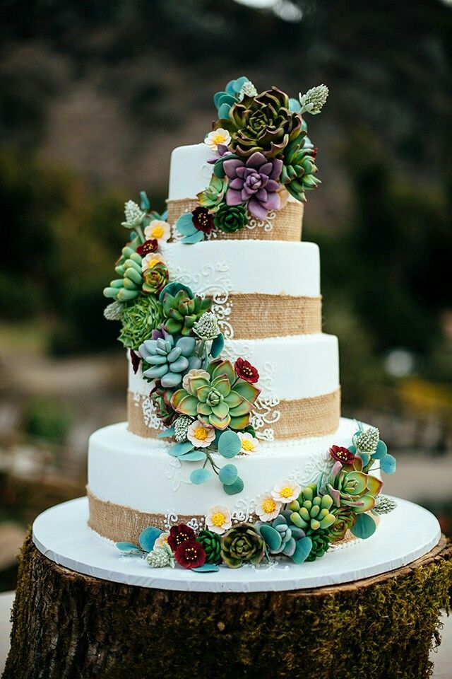 Stunning Succulent Wedding Cakes Inspired By Nature
