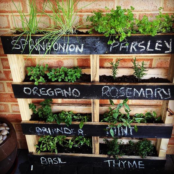 40-inspiring-diy-herb-gardens-12