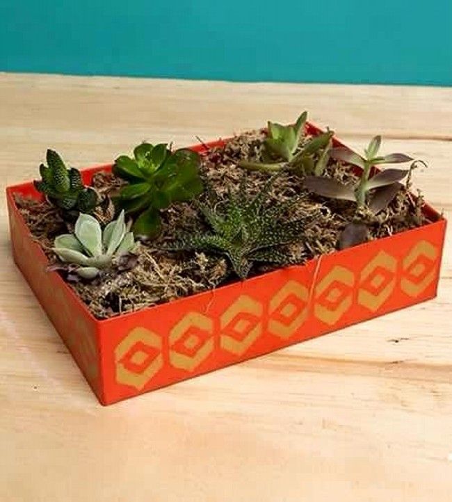 7173045_shoe-boxes-reuse-ideas_t1b5a9e53