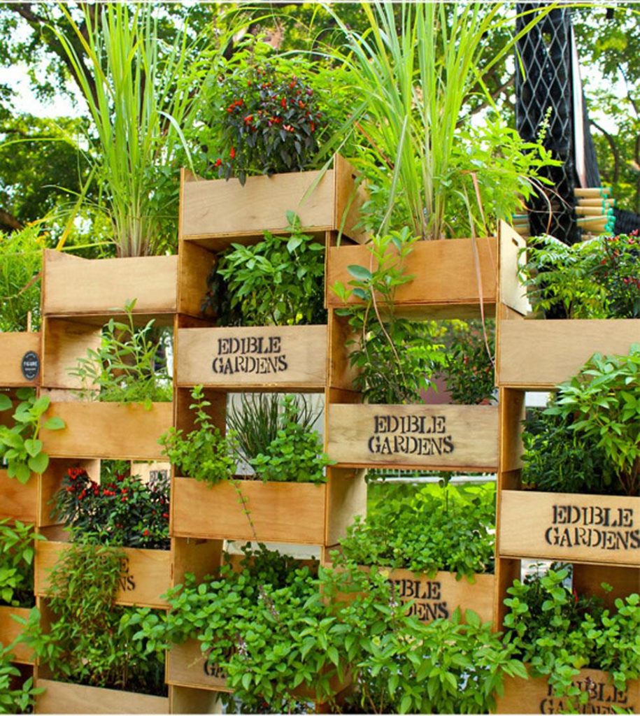 vertical-garden-interest-7