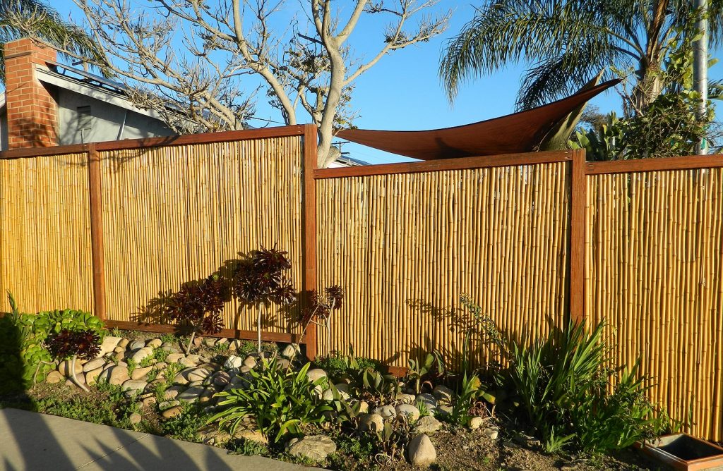 bamboo fence 