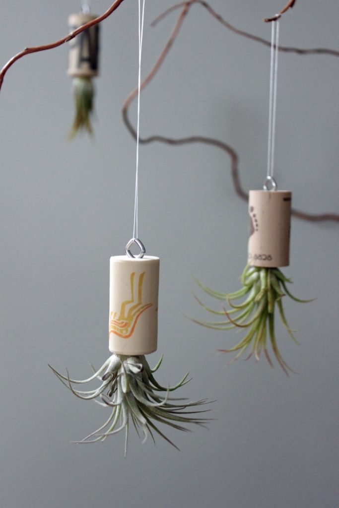 diy-xero-g-hanger_air-plant-holder_tillandsia-hanging-planter_mini-plant-holder_metal-tail_footstep-design_indoor-garden_home-decor-ideas