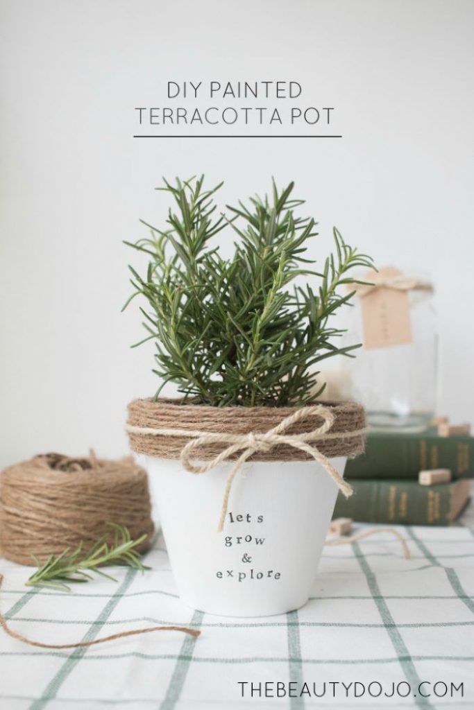 ideas-to-decorate-terracotta-plant-pots2