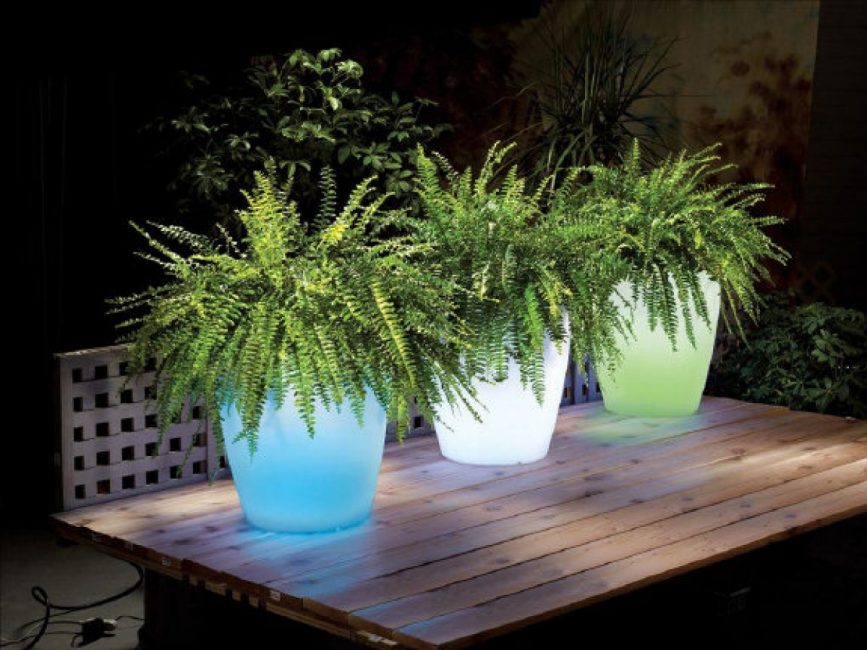 illuminatedplanters