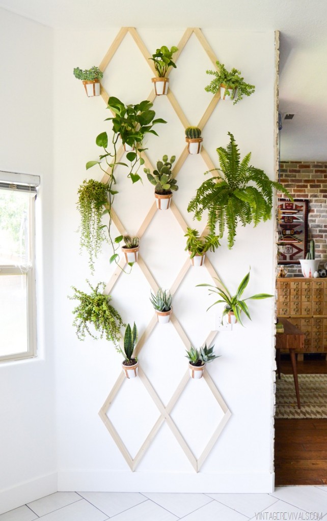 indoor-plant-display-trellis-wall-642x1024