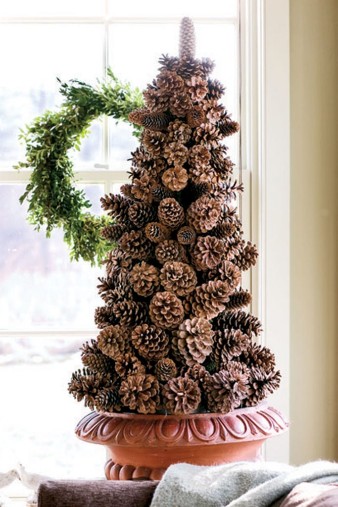 pinecone-tree