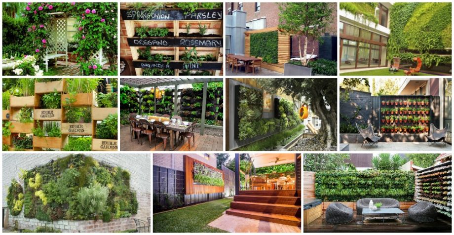 Outdoor Vertical Gardens That Will Make Your Yard Look Awesome
