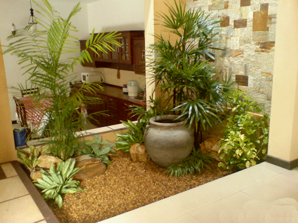 vibrant-small-indoor-gardens-4