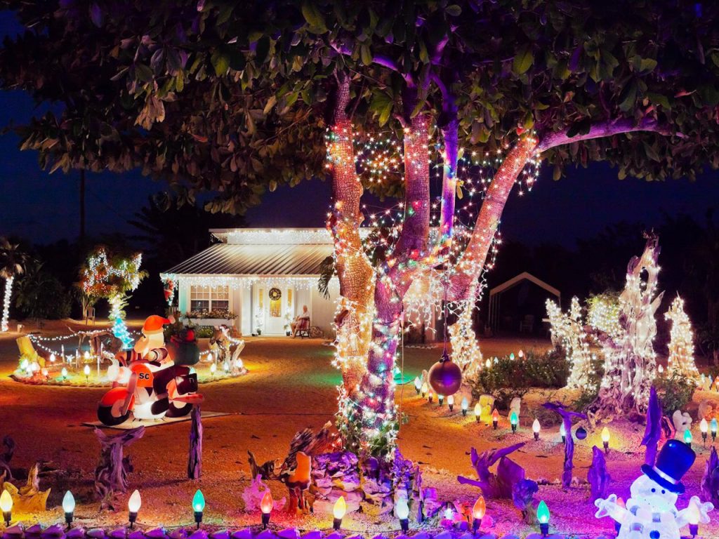 _neon-christmas-lights-trees-eclectic-home_s4x3-jpg-rend-hgtvcom-1280-960