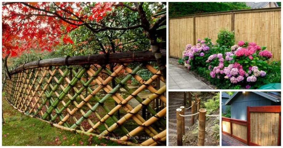 Take a Peek at the Most Beautiful Bamboo Fences