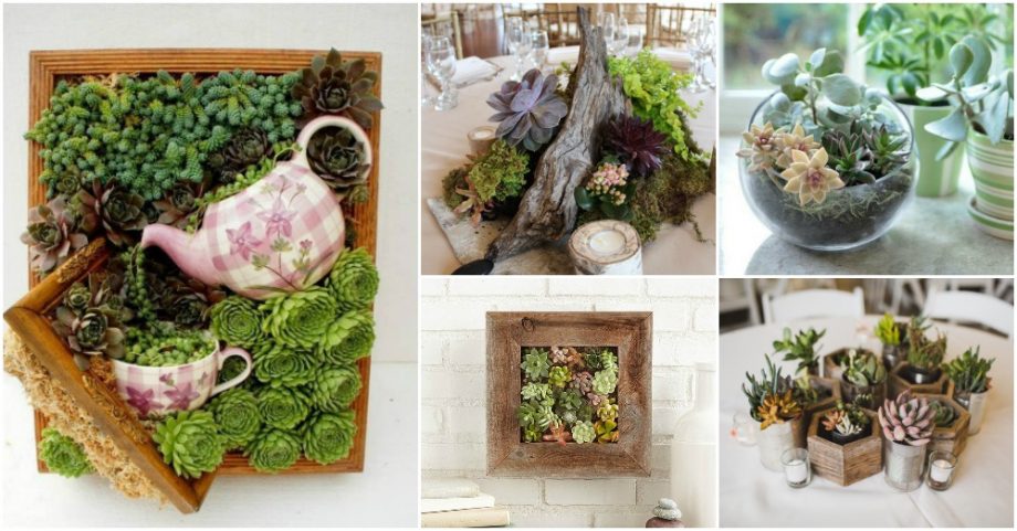 Super Creative Ways To Decorate Your Home With Succulents