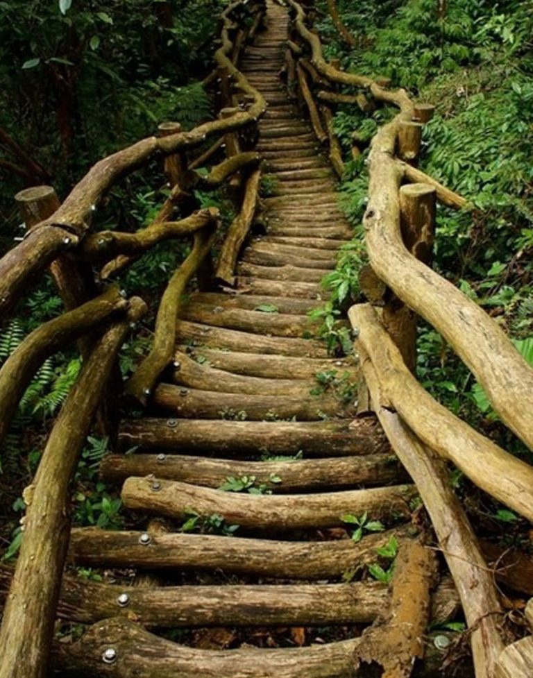 Breathtaking Wooden Pathways That Are Just Perfect For Your Garden ...