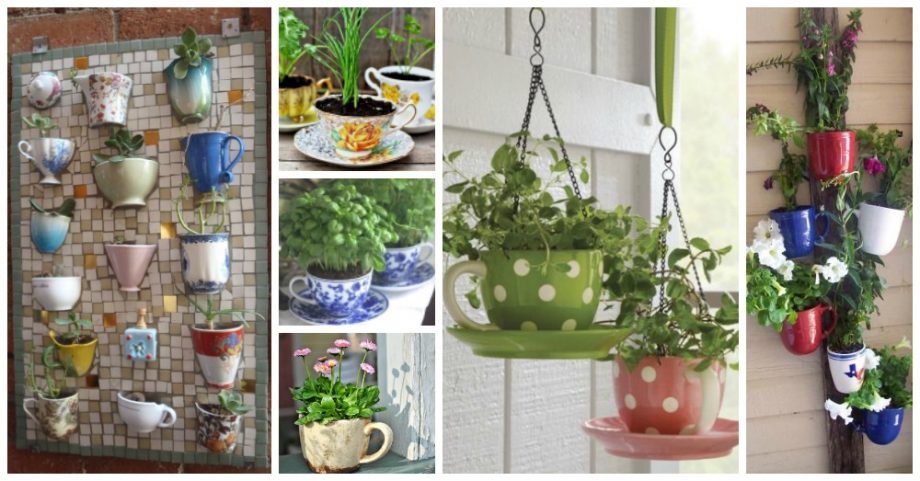 Teacup Gardens That Will Amaze You