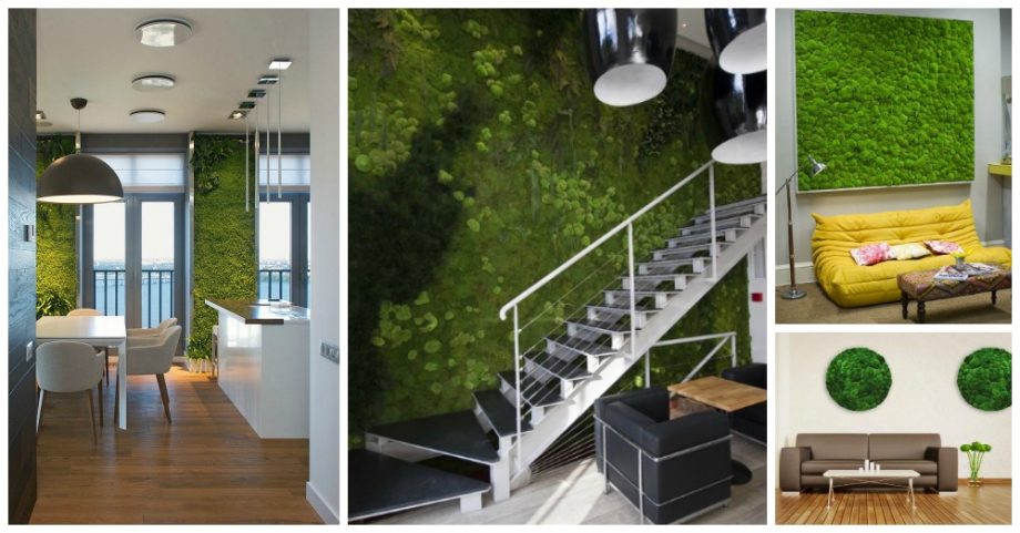 10 Indoor Moss Wall Gardens That Will Blow Your Mind