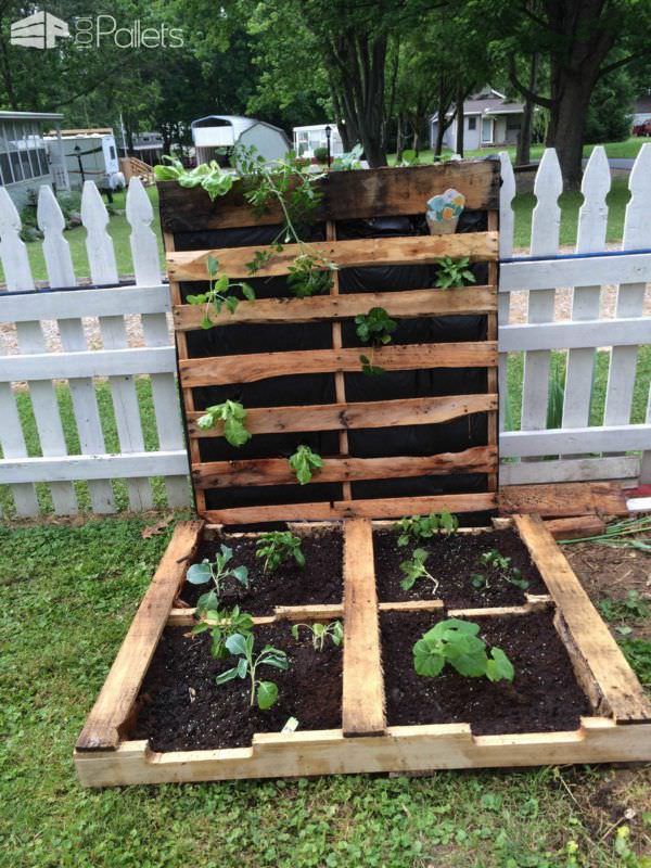 Mind Blowing Pallet Gardens You Need to Check
