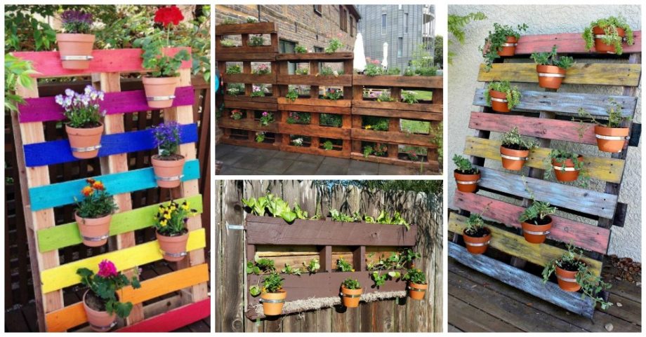 Mind Blowing Pallet Gardens You Need to Check