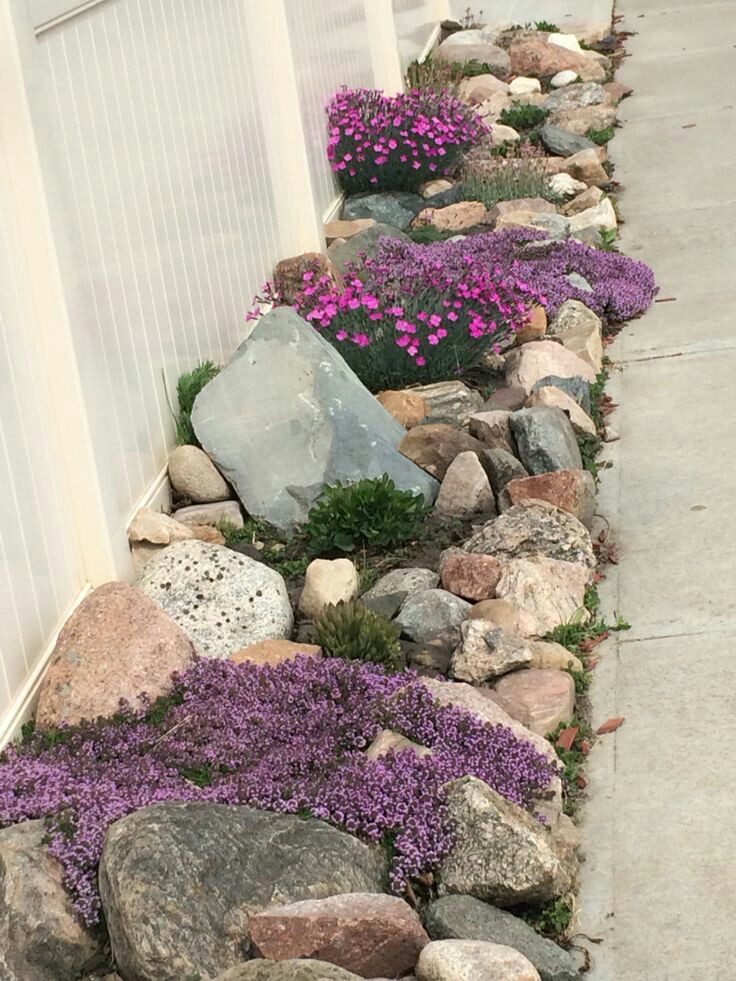 Wonderful Rock Garden Ideas You Need To See