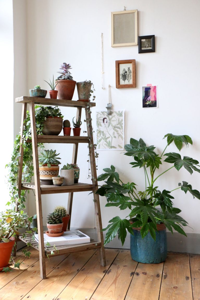 Truly Amazing Ways To Display Your House Plants