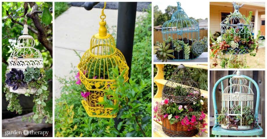 Birdcage Planters That Will Make You Say WoW