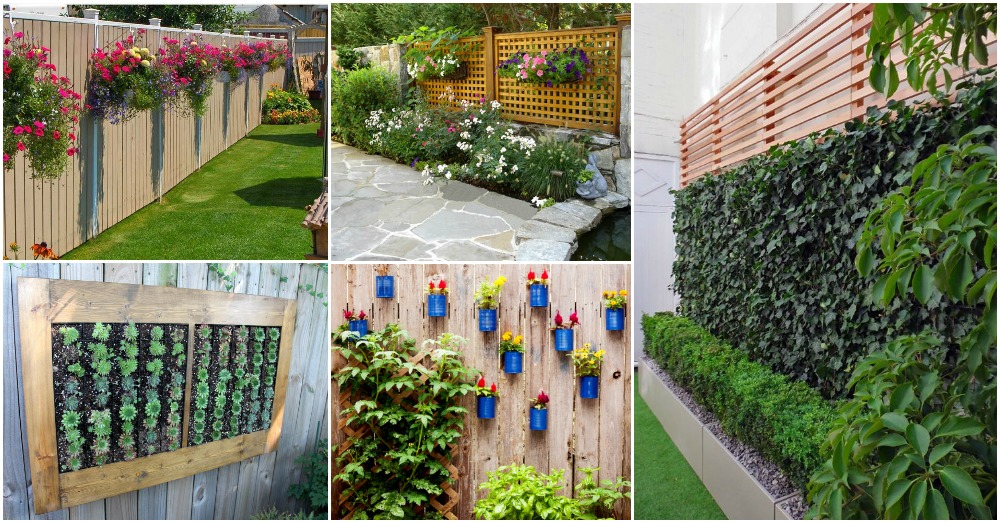 How To Decorate Your Garden Fence With Some Beautiful Planters